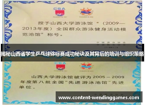 揭秘山西省学生乒乓球锦标赛成功秘诀及其背后的培训与组织策略