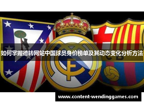 如何掌握德转网站中国球员身价榜单及其动态变化分析方法