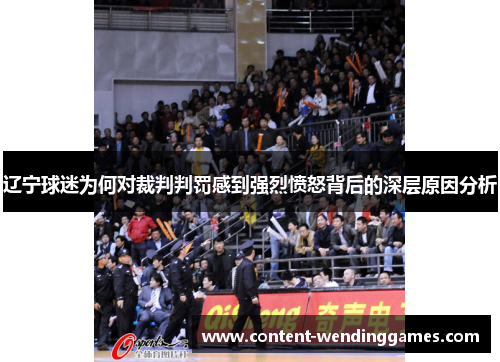 辽宁球迷为何对裁判判罚感到强烈愤怒背后的深层原因分析