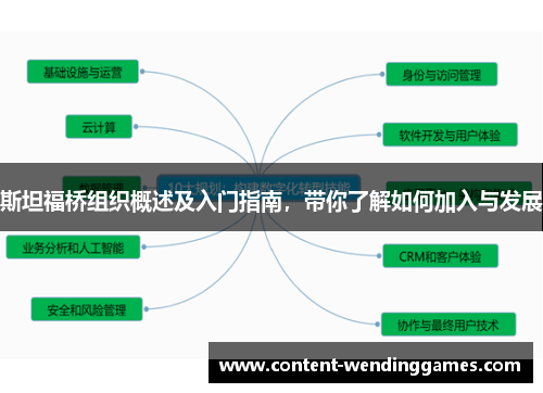 斯坦福桥组织概述及入门指南，带你了解如何加入与发展