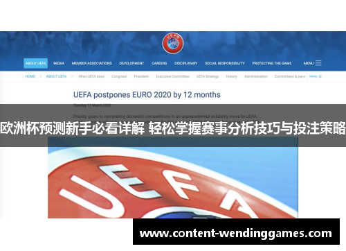 欧洲杯预测新手必看详解 轻松掌握赛事分析技巧与投注策略