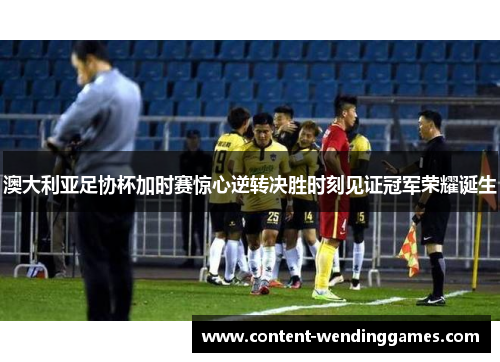 澳大利亚足协杯加时赛惊心逆转决胜时刻见证冠军荣耀诞生
