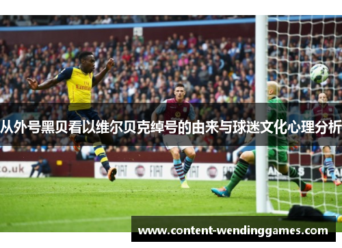 从外号黑贝看以维尔贝克绰号的由来与球迷文化心理分析 从外号黑贝看以维尔贝克绰号的由来与球迷文化心理分析