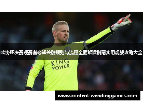 欧协杯决赛观赛者必知关键规则与流程全面解读指南实用观战攻略大全 欧协杯决赛观赛者必知关键规则与流程全面解读指南实用观战攻略大全