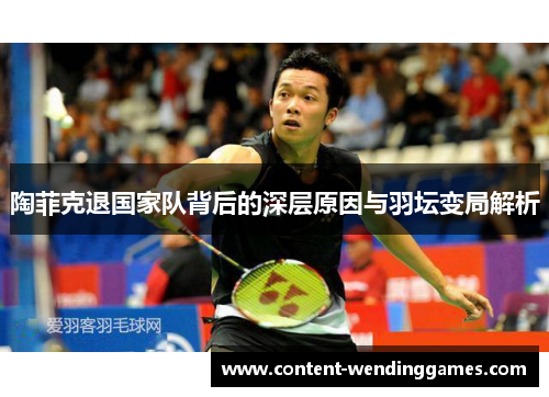 陶菲克退国家队背后的深层原因与羽坛变局解析 陶菲克退国家队背后的深层原因与羽坛变局解析