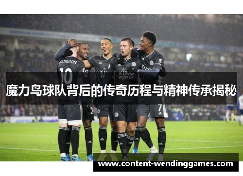 魔力鸟球队背后的传奇历程与精神传承揭秘