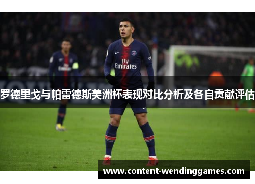 罗德里戈与帕雷德斯美洲杯表现对比分析及各自贡献评估