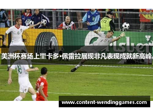 美洲杯赛场上里卡多·佩雷拉展现非凡表现成就新高峰